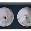 Dual Carpeted 12" Subbox - SB212