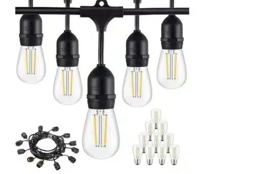 Rental Hire Festoon Light in Napier-Hastings 20 meters