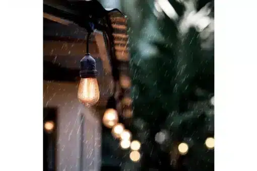 Rental Hire Festoon Light in Napier-Hastings 20 meters