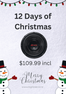12 Days of Christmas - Day 10
